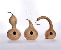Gourd seeds birdhouse for sale  Delivered anywhere in USA 