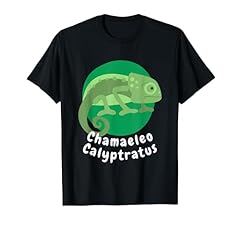 Chamaeleo calyptratus camélé d'occasion  Livré partout en France