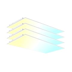 Ypii pack 2x4 for sale  Delivered anywhere in USA 