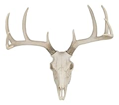 Ebros 18.5 point for sale  Delivered anywhere in UK