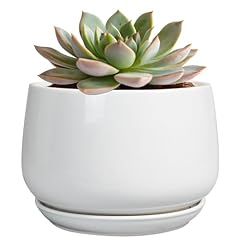 Epgardening ceramic pots for sale  Delivered anywhere in USA 