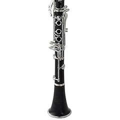 Wilmington clarinet profession for sale  Delivered anywhere in USA 