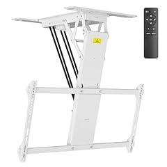 Vivo electric ceiling for sale  Delivered anywhere in USA 