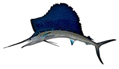 Sailfish half sided for sale  Delivered anywhere in USA 