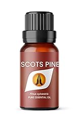 Scots pine essential for sale  Delivered anywhere in UK