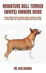 Miniature bull terrier usato  Spedito ovunque in Italia 