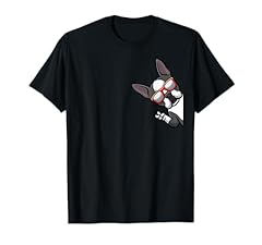 Boston terrier dog for sale  Delivered anywhere in USA 