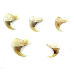 Heyiwell assorted sizes for sale  Delivered anywhere in USA 