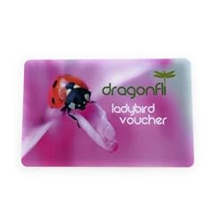 Dragonfli gift voucher for sale  Delivered anywhere in Ireland