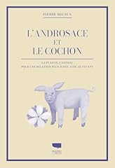 Androsace cochon d'occasion  Livré partout en France