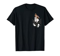 Chien papillon poche d'occasion  Livré partout en France