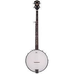 Washburn guitare banjo usato  Spedito ovunque in Italia 