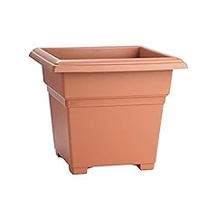 Novelty 203068 countryside for sale  Delivered anywhere in USA 