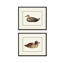 Duck decoys colllage for sale  Delivered anywhere in USA 