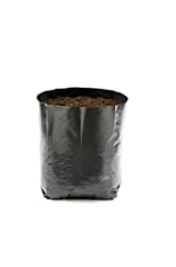 Hadopots 4L Polythene Plant Pots (Pack of 50) for sale  Delivered anywhere in UK