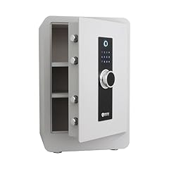 Protexsafe fireproof steel for sale  Delivered anywhere in USA 
