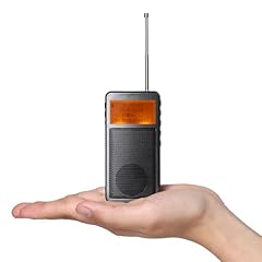 Raddy rf205 tragbares gebraucht kaufen  Wird an jeden Ort in Deutschland