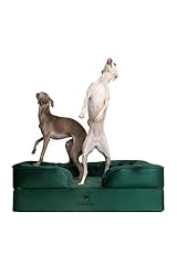 Noah paw large for sale  Delivered anywhere in USA 