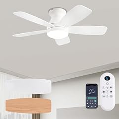Jsaitee ceiling fans for sale  Delivered anywhere in USA 