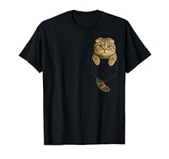 Scottish fold cat for sale  Delivered anywhere in USA 