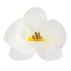 Dekora conf. orchidee usato  Spedito ovunque in Italia 