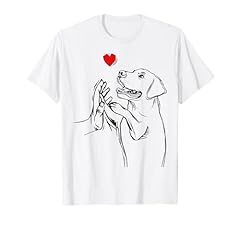 Labrador retriever adorano usato  Spedito ovunque in Italia 