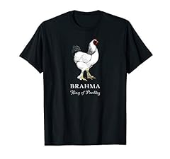 Brahma rooster king for sale  Delivered anywhere in USA 