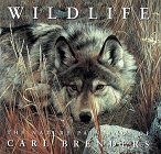 Wildlife nature paintings for sale  Delivered anywhere in USA 