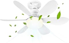 Buzzoxerex ventilatore soffitt usato  Spedito ovunque in Italia 