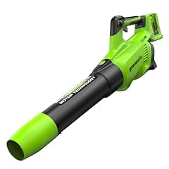 Greenworks 2x24v souffleur d'occasion  Livré partout en France