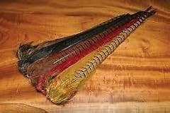 Ringneck pheasant complete for sale  Delivered anywhere in USA 