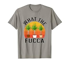 Yucca pianta divertente usato  Spedito ovunque in Italia 