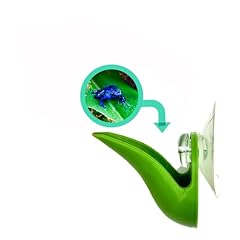 Dart frog leaf for sale  Delivered anywhere in USA 