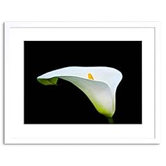 Art stop photo for sale  Delivered anywhere in USA 