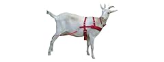 Goat pulling harness for sale  Delivered anywhere in USA 