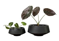 Admired nature set for sale  Delivered anywhere in USA 