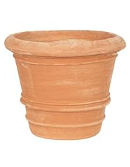 Biscottini vaso per usato  Spedito ovunque in Italia 