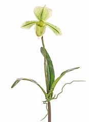 Artplants künstliche paphiope gebraucht kaufen  Wird an jeden Ort in Deutschland
