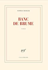 Banc brume d'occasion  Livré partout en Belgiqu