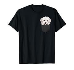 Coton tulear puppy for sale  Delivered anywhere in USA 