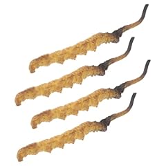 Honitano 4pezzi cordyceps usato  Spedito ovunque in Italia 
