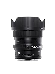 sigma 24mm f2 8 macro super wide ii d'occasion  Livré partout en France