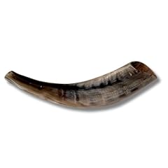 Authentic kosher polished for sale  Delivered anywhere in UK