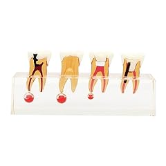 Dentalmall dental stage for sale  Delivered anywhere in USA 