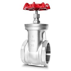 Npt stainless steel for sale  Delivered anywhere in USA 