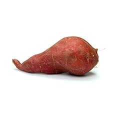 Potato sweet red for sale  Delivered anywhere in USA 