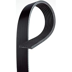 Serpentine belt 1pc for sale  Delivered anywhere in USA 
