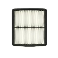 Ridex 8a0244 filtro usato  Spedito ovunque in Italia 