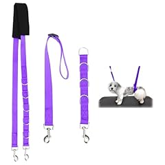 3pcs pet dog for sale  Delivered anywhere in UK