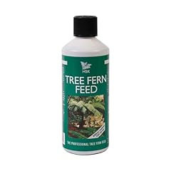 Hsk tree fern for sale  Delivered anywhere in UK